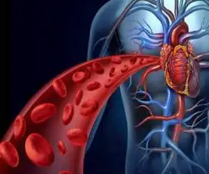 این خوراکی ها از لخته شدن خون جلوگیری می کند  -  10 ماده غذایی مفید برای بهبود گردش خون