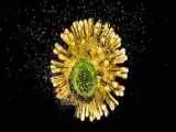 امید تازه برای درمان بیماری مرگباری که دهه ها جهان را به وحشت انداخت
