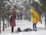 پاییز و زمستان پر بارش در انتظار ایران است  -  چهره برجسته هواشناسی: امسال برف  خوبی در کشور میبارد