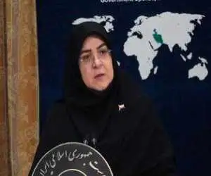 ماجرای فردوسی پور و دستور ویژه رئیس جمهور به روایت سخنگوی دولت