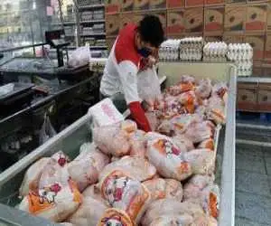 قیمت جدید گوشت مرغ امروز 11 مرداد 1405 -  مرغ کامل کیلویی چند شد؟ + جدول
