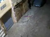 ویدیو  -  زلزله 5-5 ریشتری در مصر و فلسطین