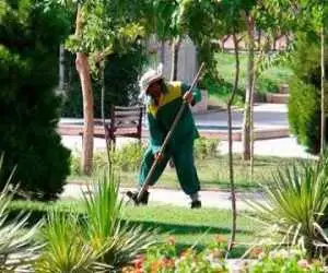 تصادف پژو با کارگر فضای سبز شهرداری
