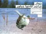 خبری از مریم حسینیان در نخستین سالگرد درگذشتش