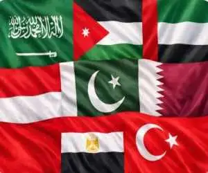 درخواست 8کشور عربی و اسلامی از شورای امنیت  -  بیانیه مشترک بر علیه اسرائیل