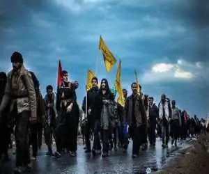 اعضای هیئت علمی، دانشجویان نخبه و کارکنان دانشگاه در یک شبکه  اثرگذار