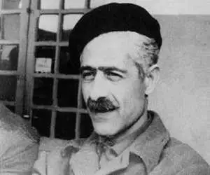 داستان معروف جلال آل احمد سریال می شود
