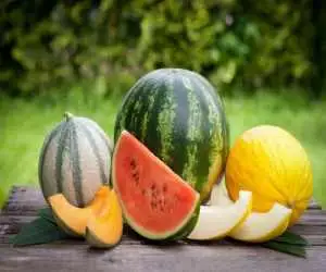 هندوانه یا طالبی؛ کدام  برای قند خون بهتر است؟