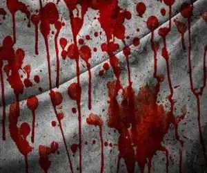 قهرمان mma قربانی یک درگیری خیابانی شد؛ متهم چه گفت؟