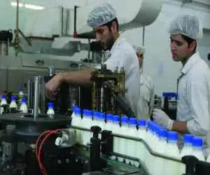 شیرهای پاستوریزه آب قاطی دارند؟  -  پاسخ مدیرکل استاندارد به شایعات