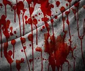 قتل جوان رزمی کار به دست بچه درسخوان کم بینا