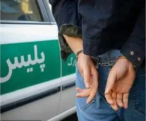 موبایل قاپ های حرفه ای تهران در دام پلیس  -  شناسایی 35 مالباخته تاکنون