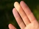 نوک انگشت شما درمورد حال روحی تان چه می گوید؟