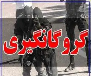 گروگانگیری در خیابان معروف تهران