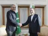 وزیر کشور پاکستان با عراقچی دیدار کرد