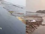 آلودگی نفتی به سواحل قشم رسید