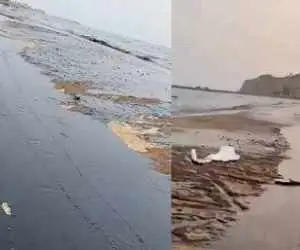 آلودگی نفتی به سواحل قشم رسید