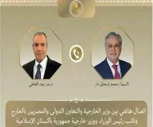 مذاکره وزیران خارجه مصر و پاکستان درمورد راه های کاهش تنش در منطقه
