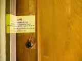 تاتو در زیرزمین های غیرمجاز؛ برخورد دادستانی این استان با مراکز مخفی