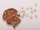 اگر این 3 نکته را رعایت کنید، زوال عقل به سراغتان نمی آید