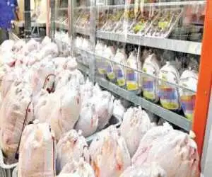 قیمت جدید مرغ در بازار -  مرغ 246 درصد گران شد