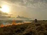میانکاله را چه کسی می سوزاند؟