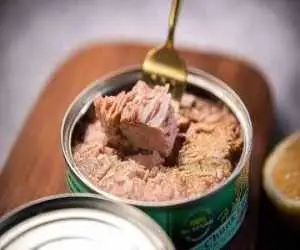 صادرات کنسرو تن ماهی بدون اشکال شد