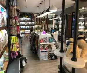 سازمان نظام دامپزشکی: فعالیت پت شاپ های کشور غیرقانونی است