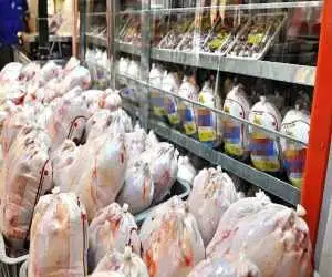 قیمت تمام شده هر کیلو مرغ چقدر است؟  -  صادرات مرغ به زودی شروع می شود