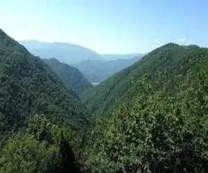 سرنوشت 4 جوان گمشده در جنگل های تالش