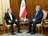 گزارش رحمانی فضلی درمورد روابط ایران و چین -  تاکید عراقچی بر تسریع اجرای توافقات مشترک در چارچوب راهبرد 25 ساله