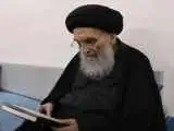 حمایت آیت الله سیستانی از یتیمان جنگ زده لبنان