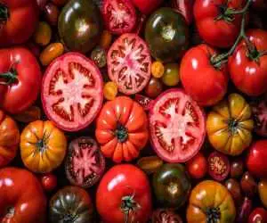 خوردن گوجه فرنگی برای این افراد ضرر دارد؛ 5 عارضه و نکته مهم که حتماً بدانید