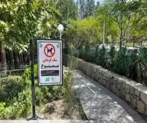 ممنوعیت سگ گردانی در بوستان ها و فضاهای سبز در این شهر مذهبی