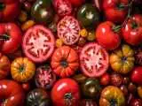 خوردن گوجه فرنگی برای این افراد ضرر دارد؛ 5 عارضه و نکته مهم که حتماً بدانید