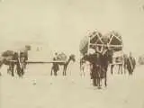 وسیله سفر لاکچری در تهران قدیم را ببینید