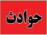 گیرکردن دست یک کارگر قصابی در دستگاه چرخ گوشت
