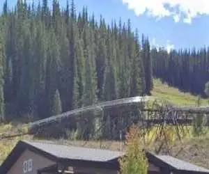 30 ثانیه جهنمی روی ریل؛ ترن هوایی متوقف نشد زن 60 ساله را روی مسیر کشید