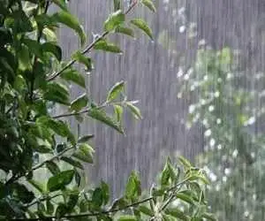 پیش بینی بارش بالای 70درصدی بیشتر از نرمال در پاییز - آماده باش نیروهای امدادی