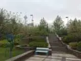 هشدار عضو شورا درمورد احداث پناهگاه در بوستان های تهران