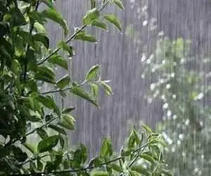 3 سناریوی ایران در مواجهه با (ال نینو) -  6 راه حل  مقابله با مخاطرات بارش ها در کشور