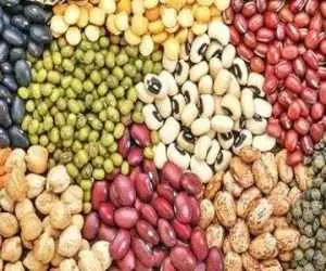 چراغ سبز به واردات حبوبات -  ثبت سفارش واردات عدس، لوبیا و نخود شروع شد