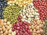 چراغ سبز به واردات حبوبات -  ثبت سفارش واردات عدس، لوبیا و نخود شروع شد