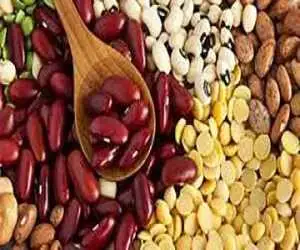 خبر مهم برای بازار حبوبات  -  ثبت سفارش واردات از امروز شروع شد