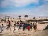 (غذای نیمروز) در راه اسکار
