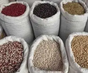 قیمت حبوبات امروز شنبه 14 شهریور 1405 -  لوبیا قرمز قلمی گران تر از سایر حبوبات