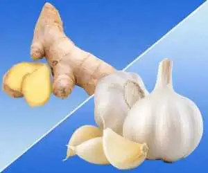 سیر یا زنجبیل؛ کدام یک التهاب بدن را بهتر کاهش می دهد؟