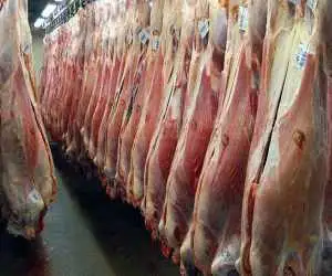 قیمت هر کیلو گوشت وارداتی اعلام شد