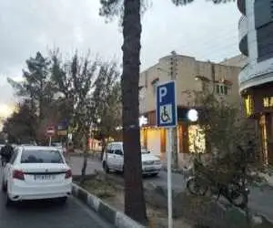 هشدار پلیس درمورد اشغال پارکینگ های اختصاصی جانبازان و معلولان