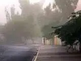 چرا بوی خاکِ نم  خورده  آرامش  بخش است؟ -  آیا عطر باران جایگزین دارد